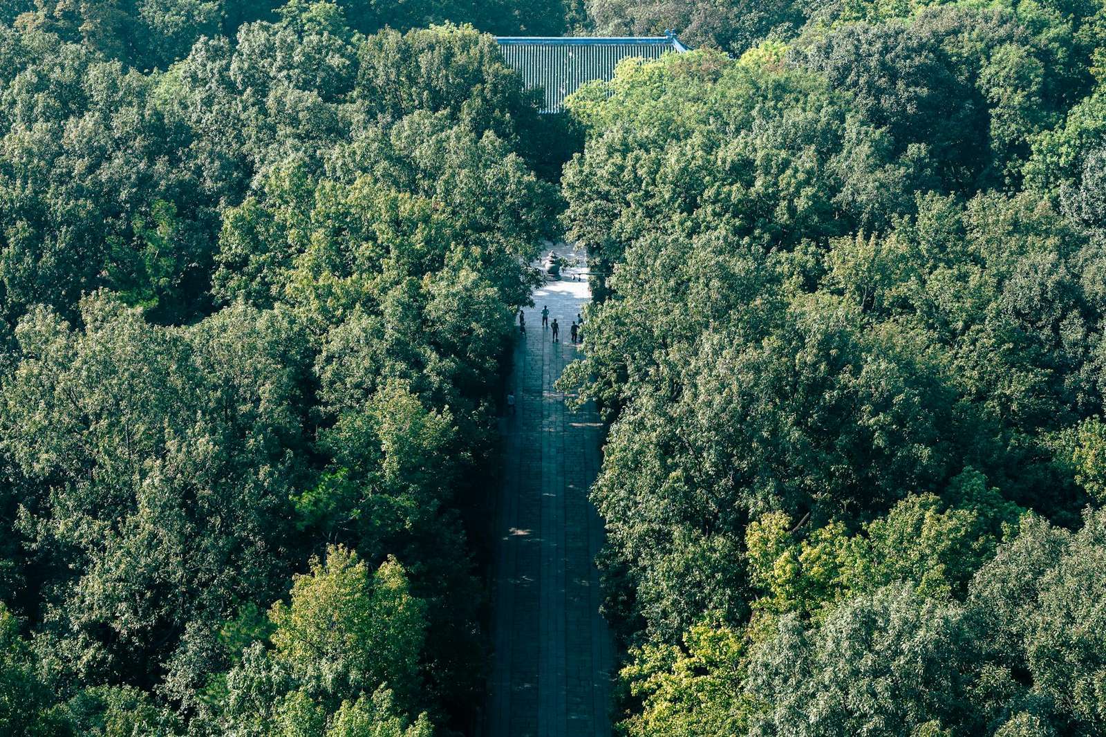 谷歌浏览器扩展插件管理界面